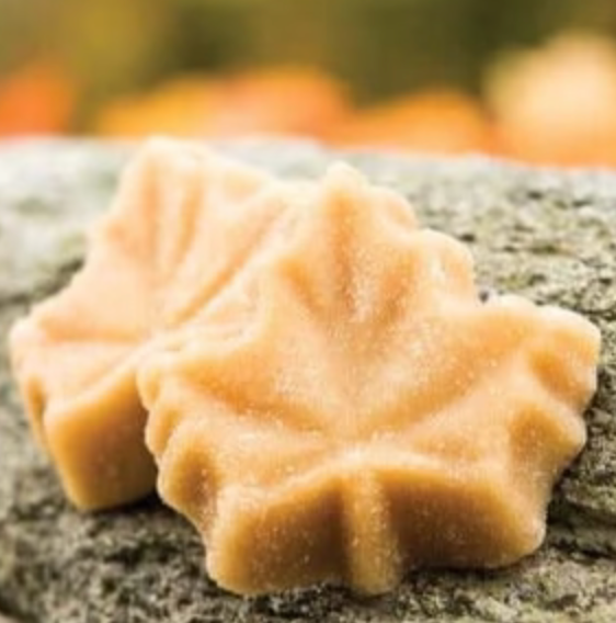 Maple Sugar Candy