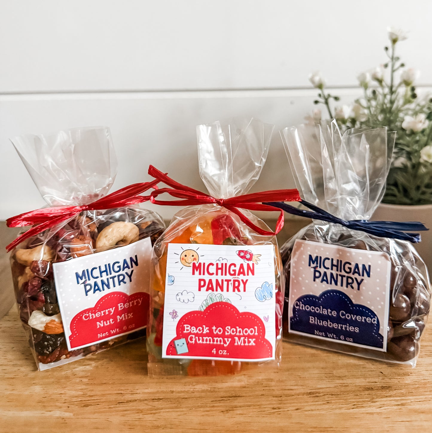 Campus Care Gift Box | Michigan Gift | Free Shipping No