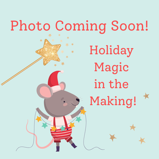 Sweet Treats: Michigan Holiday Gift Box ~ COMING SOON