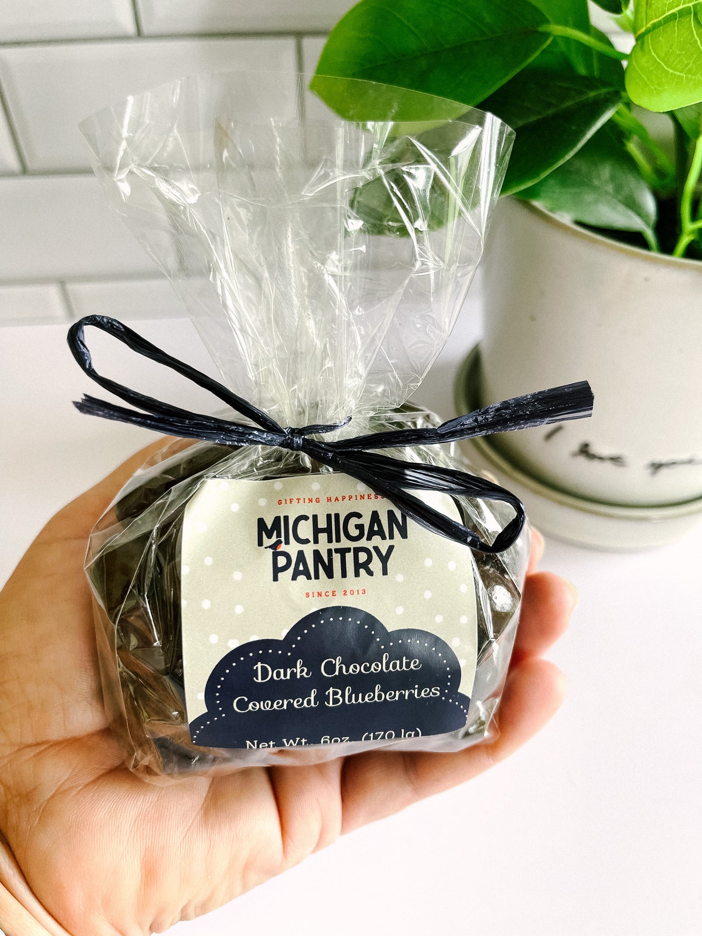 dark chocolate, chocolate covered, chocolate covered blueberries, michigan blueberries